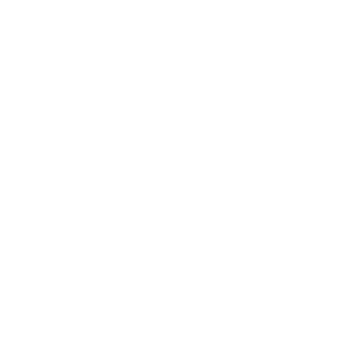 Palm Tree