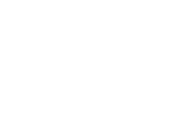 Palm Tree